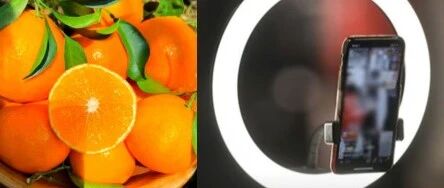 聲稱“橙子提高免疫力”、“悲情助農(nóng)”等類案頻發(fā)，敲響各單位直播帶貨警鐘