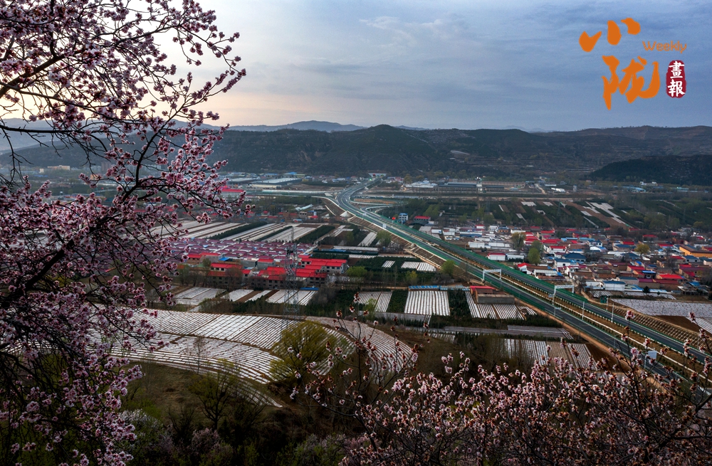 【小隴畫報(bào)·496期】走進(jìn)康樂：邂逅山水間的天然清涼