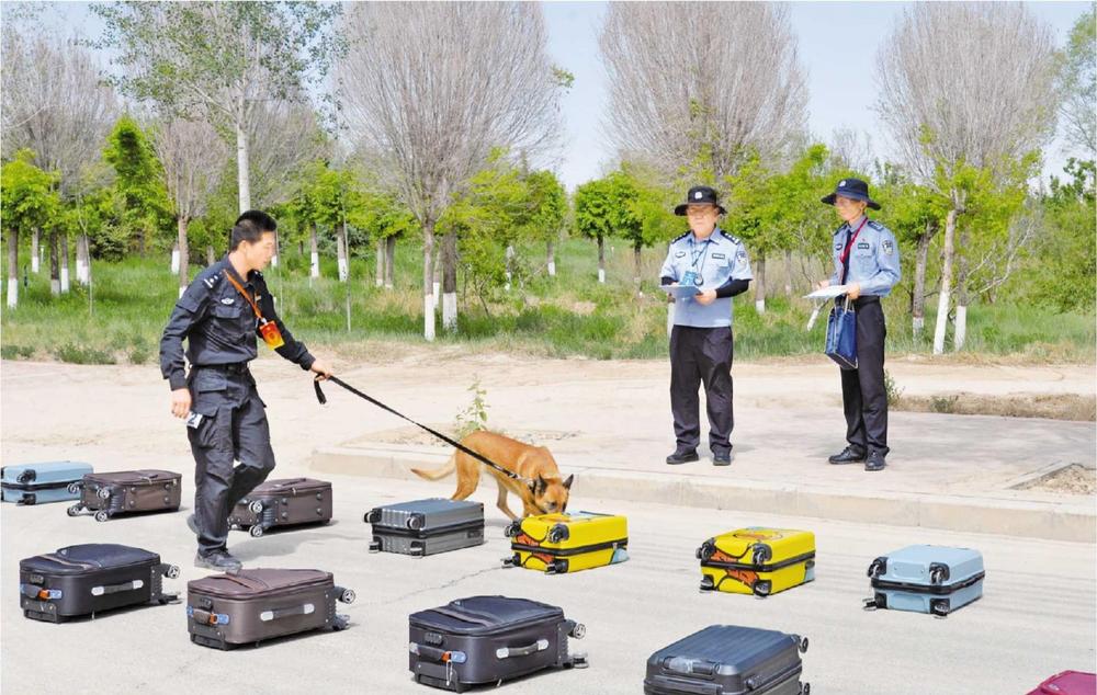 全省公安機關警犬技術比賽舉行