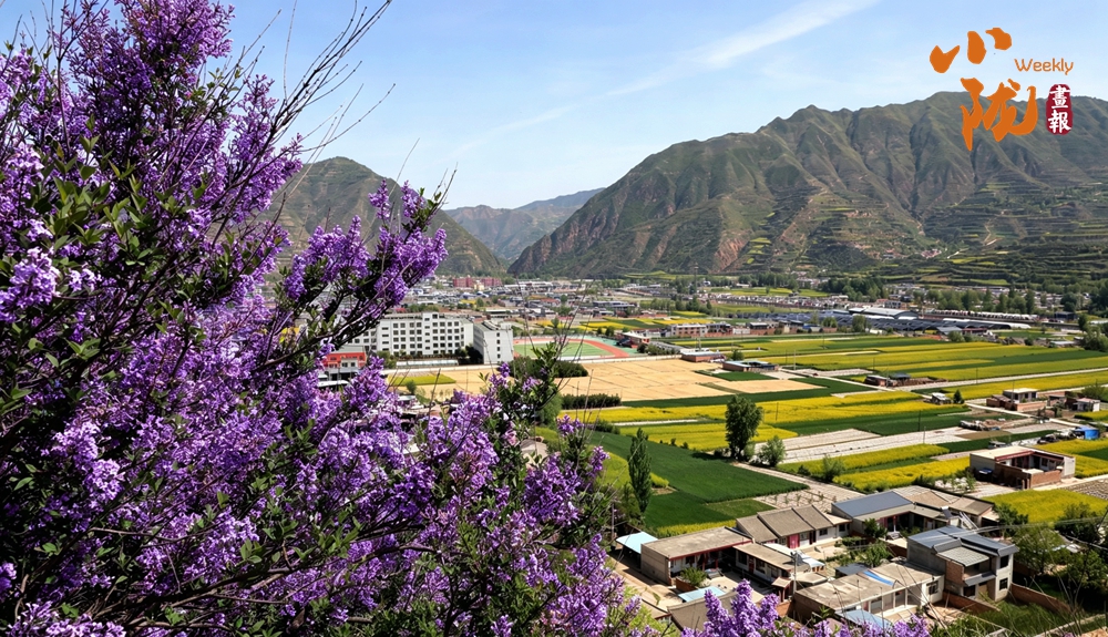武山：花漫山村織成詩 五月灘歌入畫來
